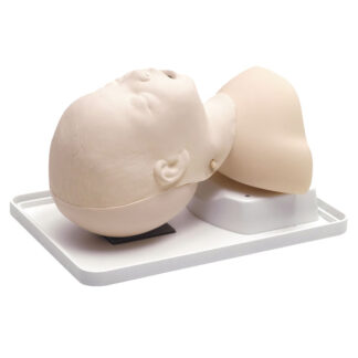 Infant Airway Management Trainer, 250-00250 - Laerdal