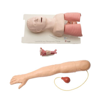 Training Manikins